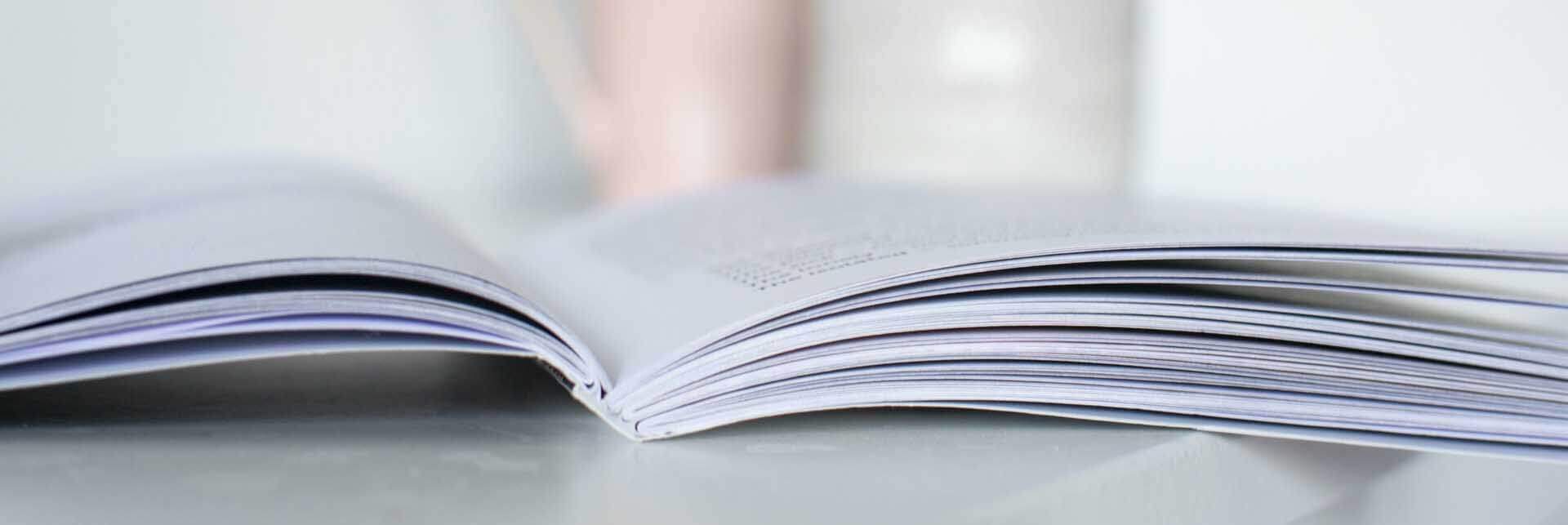 Le verbe avoir en allemand - My CMS