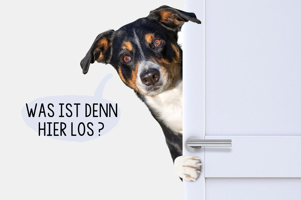 La particule denn sert à exprimer la curiosité en allemand.